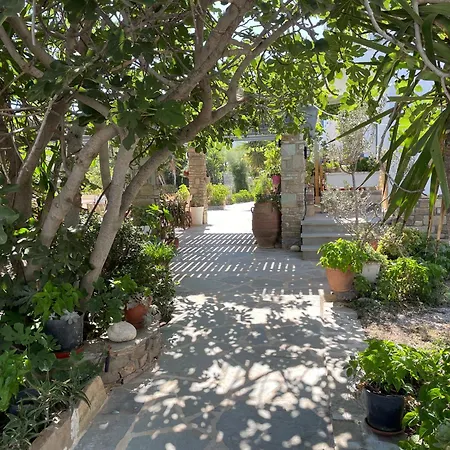 Ioanna Apart Otel Agios Prokopios (Naxos)