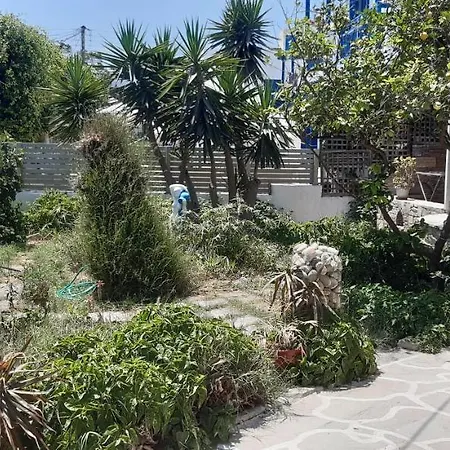 Ioanna Lejlighedshotel Agios Prokopios (Naxos)