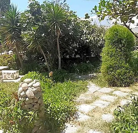 Ioanna Agios Prokopios (Naxos)